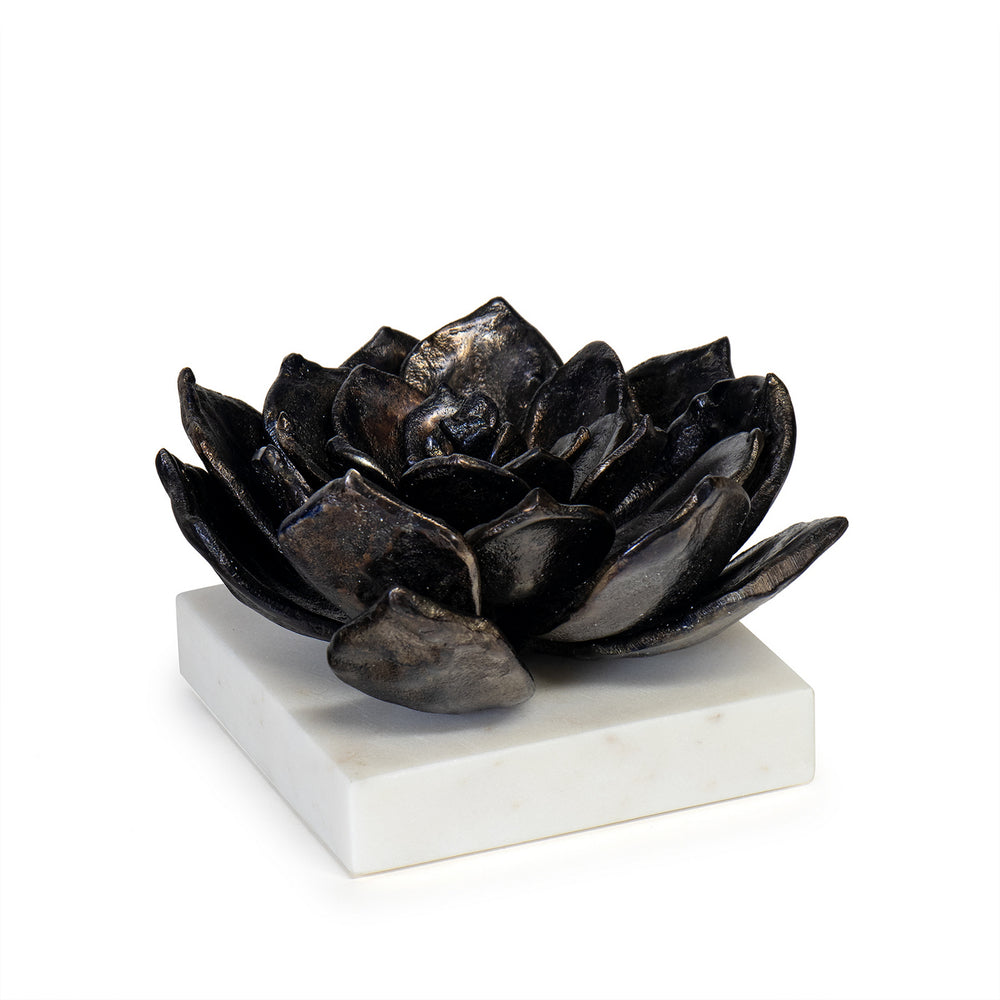Regina Andrew Canada - Sculpture - Succulent - Blacken Zinc- Union Lighting Luminaires Decor