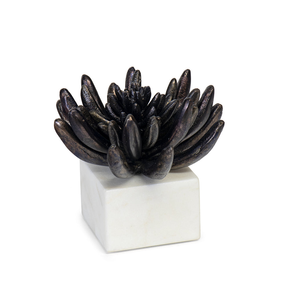 Regina Andrew Canada - Sculpture - Succulent - Blacken Zinc- Union Lighting Luminaires Decor