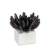 Regina Andrew Canada - Sculpture - Succulent - Blacken Zinc- Union Lighting Luminaires Decor