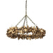 Palecek Canada - Chandelier - Siena - Antique Brass- Union Lighting Luminaires Decor