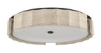 Eurofase Canada - LED Flush Mount - Roslington - Matte Black- Union Lighting Luminaires Decor