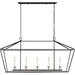 Visual Comfort Studio Canada - Five Light Linear Chandelier - Dianna - Midnight Black- Union Lighting Luminaires Decor