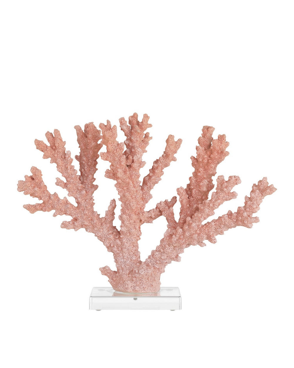Currey and Company - Coral - Coral - Coral/Clear- Union Lighting Luminaires Decor