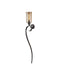 Currey and Company - One Light Wall Sconce - Wemyss - Gilded Oak/Smoke- Union Lighting Luminaires Decor