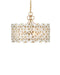 Currey and Company - Four Light Pendant - Spring Flower - Frosted/Brass- Union Lighting Luminaires Decor