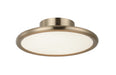Matteo Canada - LED Wall Sconce/Ceiling Mount - PIPER - Champagne Gold- Union Lighting Luminaires Decor