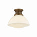 Hudson Valley Canada - One Light Flush Mount - Bruceville - Historic Bronze- Union Lighting Luminaires Decor