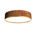 Accord Lighting - LED Ceiling Mount - Cylindrical - Imbuia- Union Lighting Luminaires Decor