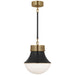 Visual Comfort Signature Canada - One Light Pendant - Precision - Antique-Burnished Brass and Bronze- Union Lighting Luminaires Decor