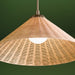 Kichler Canada - LED Pendant/Semi Flush - Bekah - Champagne Bronze- Union Lighting Luminaires Decor
