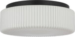 Generation Lighting Canada - Two Light Flush Mount - Axira - Midnight Black- Union Lighting Luminaires Decor