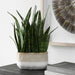 Uttermost - Accent Plant - Sansera Snake - Beige And Tan- Union Lighting Luminaires Decor