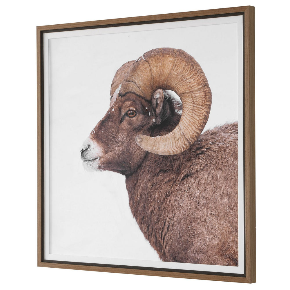 Uttermost - Framed Print - Big Horn- Union Lighting Luminaires Decor