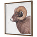 Uttermost - Framed Print - Big Horn- Union Lighting Luminaires Decor