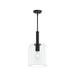Progress Canada - One Light Pendant - Reines - Matte Black- Union Lighting Luminaires Decor