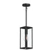 Progress Canada - One Light Outdoor Pendant - Ryle - Matte Black- Union Lighting Luminaires Decor