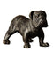 Currey and Company - Sculpture - Bulwark the Bulldog - Bronze- Union Lighting Luminaires Decor