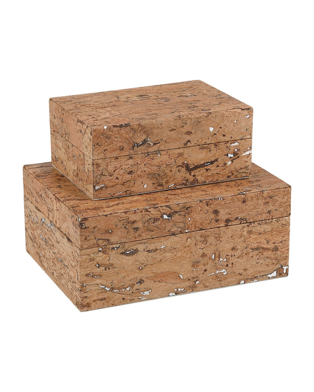 Currey and Company - Box Set of 2 - Comporta - Natural- Union Lighting Luminaires Decor
