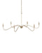 Currey and Company - Six Light Chandelier - Lardner - Champagne- Union Lighting Luminaires Decor