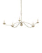 Currey and Company - Five Light Chandelier - Franz - Champagne- Union Lighting Luminaires Decor