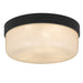 Quoizel - LED Flush Mount - Langford - Matte Black- Union Lighting Luminaires Decor