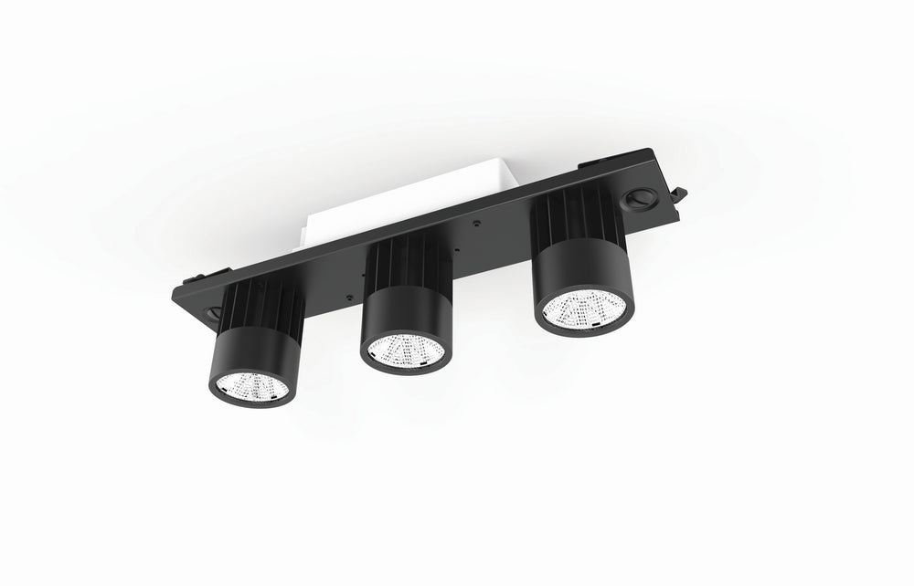 Eurofase Canada - LED Downlight - Route - Black- Union Lighting Luminaires Decor