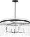 Visual Comfort Studio Canada - Four Light Chandelier - Finley - Midnight Black- Union Lighting Luminaires Decor