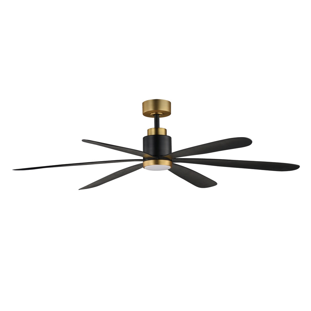 Maxim - 60" Ceiling Fan - Daisies - Black / Gold- Union Lighting Luminaires Decor