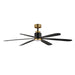 Maxim - 60" Ceiling Fan - Daisies - Black / Gold- Union Lighting Luminaires Decor