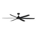 Maxim - 72" Ceiling Fan - Albatross - Black- Union Lighting Luminaires Decor
