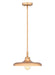Z-Lite Canada - One Light Pendant - Camden - Rubbed Brass- Union Lighting Luminaires Decor