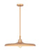Z-Lite Canada - One Light Pendant - Camden - Rubbed Brass- Union Lighting Luminaires Decor