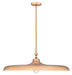 Z-Lite Canada - One Light Pendant - Camden - Rubbed Brass- Union Lighting Luminaires Decor