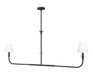 Z-Lite Canada - Two Light Linear Chandelier - Tova - Matte Black- Union Lighting Luminaires Decor