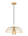 Z-Lite Canada - One Light Pendant - Valencia - Modern Gold- Union Lighting Luminaires Decor