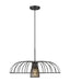 Z-Lite Canada - One Light Pendant - Valencia - Matte Black- Union Lighting Luminaires Decor