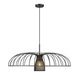 Z-Lite Canada - One Light Pendant - Valencia - Matte Black- Union Lighting Luminaires Decor