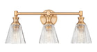 Z-Lite Canada - Three Light Vanity - Auden - Modern Gold- Union Lighting Luminaires Decor