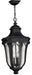 Hinkley Canada - LED Hanging Lantern - Trafalgar - Museum Black- Union Lighting Luminaires Decor