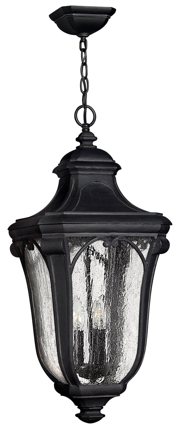 Hinkley Canada - LED Hanging Lantern - Trafalgar - Museum Black- Union Lighting Luminaires Decor