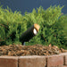 Kichler Canada - One Light Accent - Textured Black- Union Lighting Luminaires Decor