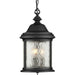 Progress Canada - Three Light Hanging Lantern - Ashmore - Textured Black- Union Lighting Luminaires Decor