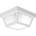 Progress Canada - Two Light Outdoor Flush Mount - Ceiling Mount - Polycarbonate - White- Union Lighting Luminaires Decor