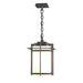 Hubbardton Forge - One Light Outdoor Ceiling Fixture - Tourou - Coastal Natural Iron- Union Lighting Luminaires Decor