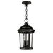 Maxim - Three Light Outdoor Hanging Lantern - Dover DC - Bronze- Union Lighting Luminaires Decor