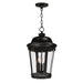 Maxim - Three Light Outdoor Hanging Lantern - Dover DC - Bronze- Union Lighting Luminaires Decor
