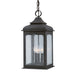 Troy Lighting Canada - Three Light Hanging Lantern - Henry Street - Textured Bronze- Union Lighting Luminaires Decor