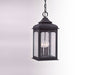 Troy Lighting - Three Light Hanging Lantern - Henry Street - Textured Bronze- Union Lighting Luminaires Decor
