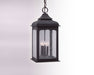 Troy Lighting - Four Light Hanging Lantern - Henry Street - Textured Bronze- Union Lighting Luminaires Decor