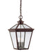 Savoy House - Three Light Hanging Lantern - Ellijay - English Bronze- Union Lighting Luminaires Decor